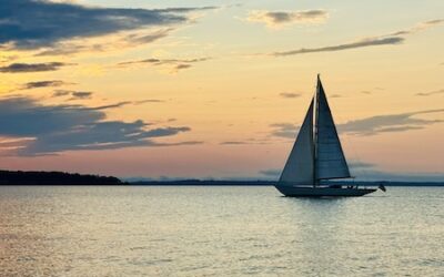My Favorites at Martha’s Vineyard